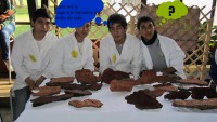 /album/fotos-freack-/emprendimiento-jpg/