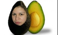 /album/fotos-freack-/palta-jpg/